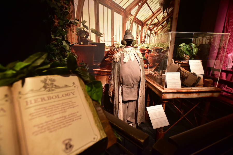 La locura de Harry Potter ya está prácticamente lista para su inauguración. 'Harry Potter: The exhibition' abre sus puertas a los fans del popular mago este sábado. En ella, los asistentes podrán descubrir los escenarios, objetos, personajes y, sobre todo, la magia, que envuelve al mundo creado por la escritora inglesa J. K. Rowling. El universo de Hogwarts estará en el Museo de las Ciencias de Valencia abierto al público hasta el 7 de julio y promete ser todo un éxito.