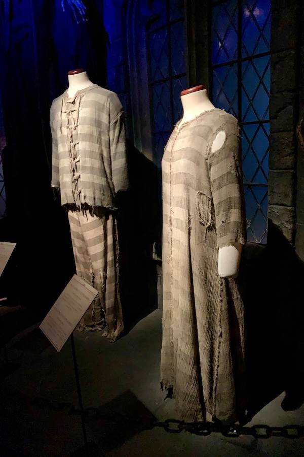 Alfombra roja de la inauguración oficial de la exposición de Harry Potter en Valencia en el Museo de las Ciencias Príncipe Felipe, en la Ciudad de las Artes y las Ciencias. 