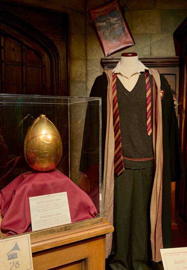Alfombra roja de la inauguración oficial de la exposición de Harry Potter en Valencia en el Museo de las Ciencias Príncipe Felipe, en la Ciudad de las Artes y las Ciencias. 