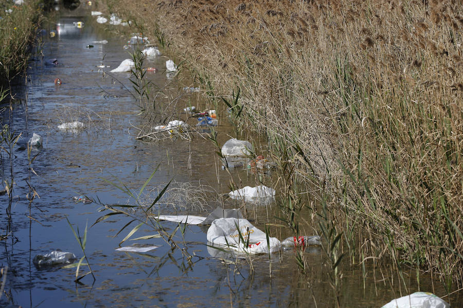 El recinto en el que ayer se congregaron cerca de 20.000 jóvenes ha despertado hoy con miles de botellas y bolsas de plástico en el suelo. Los operarios de la organización trabajaban para retirar toda la cantidad de basura que se extendía a los caminos de acceso al lugar en el que se celebraron las paellas universitarias. Incluso alguna acequia cercana también presentaba botellas y bolsas en sus aguas.