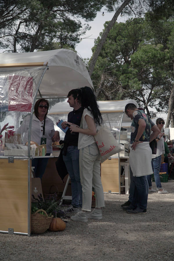 El Festival de l'horta Turia ha ofrecido en la Masía de San Antonio de Benifaió, 12 horas de música y gastronomía en plena huerta. Els Jóvens, Lewis OfMan, Cariño, The Parrots, Novedades Carminha, Cero en Conducta y Hits With Tits han completado el cartel de este certamen nacido hace tres años para «acercar la huerta a la ciudadanía y rendir homenaje a los agricultores cuyo trabajo permite que disfrutemos del patrimonio natural», resaltó la organización.