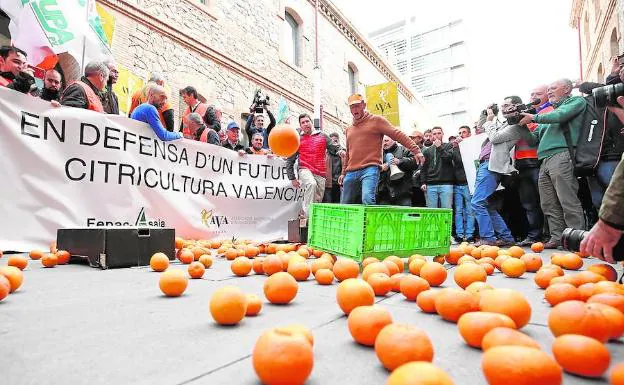 Naranjas por el suelo en una manifestación ante la Conselleria de Agricultura. 