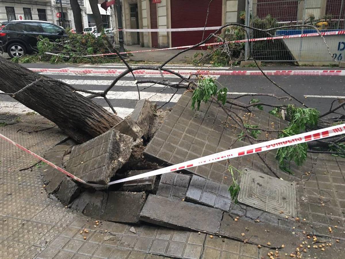 Una calle de Ruzafa levantada por el temporal.