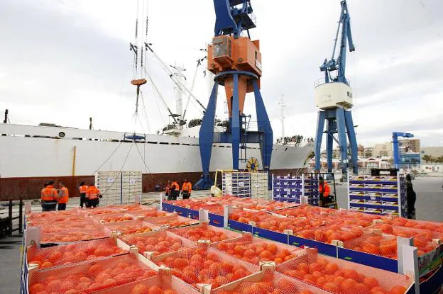 Uno de los últimos envíos de clementinas a Rusia, cuyo bloqueo desde 2014 está perjudicando seriamente al sector citrícola. 