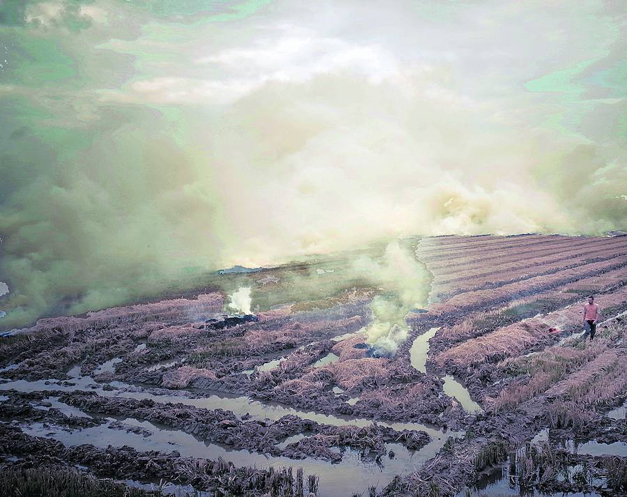 La quema. La paja que sobra hay que eliminarla. Durante décadas se quemó, sobre todo en octubre, y la ciudad de Valencia se llenaba de humo. Ahora se utilizan también métodos alternativos.