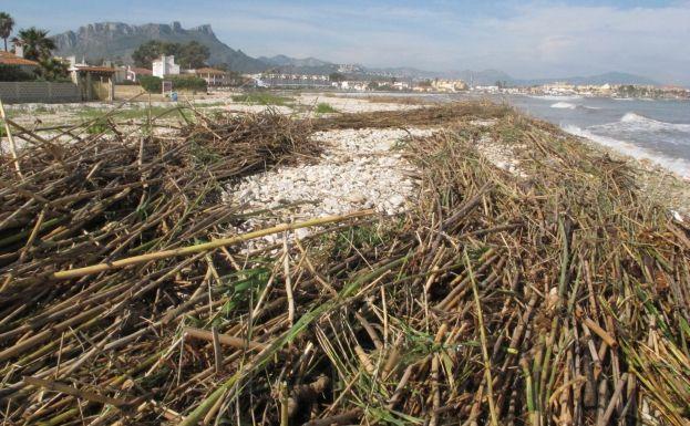 Estado de la playa Almadrava tras el temporal.