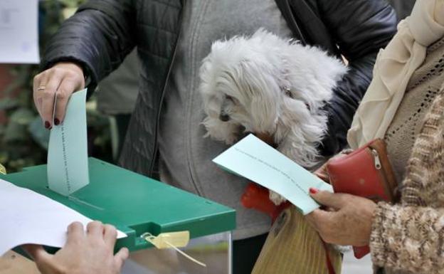 Resultados elecciones | Qué son las encuestas 'israelitas' y por qué se llaman así