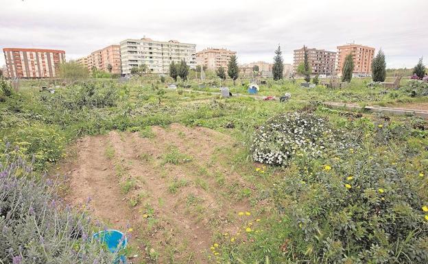 Imagen principal - Patraix, Moreras y Benimaclet son ejemplos de estos planes aún pendientes. 