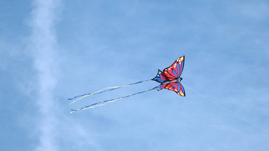 Todo tipo de animales, formas, figuras y banderas ha sobre volado el cielo de Valencia en el XXI Festival de Milotxes que se ha celebrado este fin de semana en la playa del Cabanyal. Alrededor de 100 participantes provenientes de Alemania, Chile y Argentina, junto a los pilotos valencianos y del resto de España, han competido en las modalidades de exhibición de vuelo acrobático individual, vuelo acrobático en equipo, y mejor cometa estática de construcción propia.