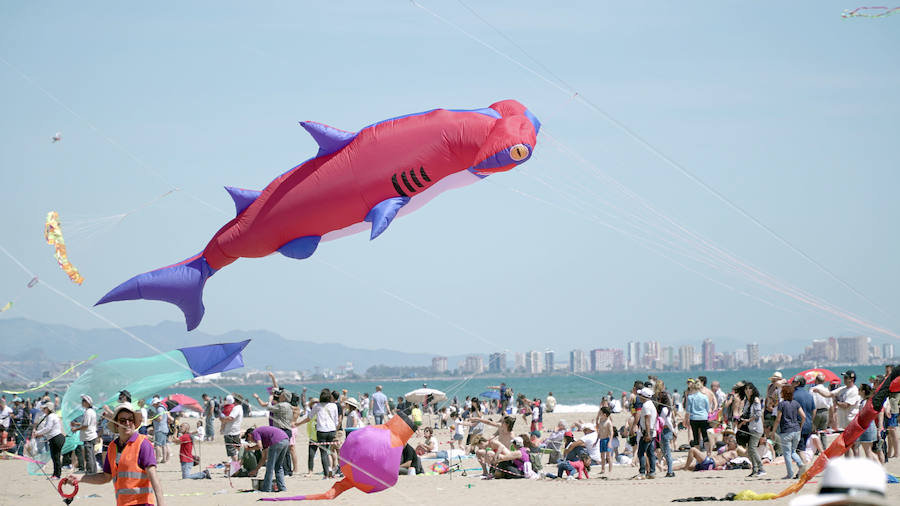 Todo tipo de animales, formas, figuras y banderas ha sobre volado el cielo de Valencia en el XXI Festival de Milotxes que se ha celebrado este fin de semana en la playa del Cabanyal. Alrededor de 100 participantes provenientes de Alemania, Chile y Argentina, junto a los pilotos valencianos y del resto de España, han competido en las modalidades de exhibición de vuelo acrobático individual, vuelo acrobático en equipo, y mejor cometa estática de construcción propia.