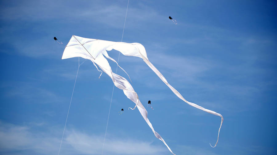 Todo tipo de animales, formas, figuras y banderas ha sobre volado el cielo de Valencia en el XXI Festival de Milotxes que se ha celebrado este fin de semana en la playa del Cabanyal. Alrededor de 100 participantes provenientes de Alemania, Chile y Argentina, junto a los pilotos valencianos y del resto de España, han competido en las modalidades de exhibición de vuelo acrobático individual, vuelo acrobático en equipo, y mejor cometa estática de construcción propia.