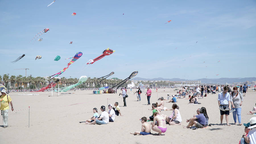 Todo tipo de animales, formas, figuras y banderas ha sobre volado el cielo de Valencia en el XXI Festival de Milotxes que se ha celebrado este fin de semana en la playa del Cabanyal. Alrededor de 100 participantes provenientes de Alemania, Chile y Argentina, junto a los pilotos valencianos y del resto de España, han competido en las modalidades de exhibición de vuelo acrobático individual, vuelo acrobático en equipo, y mejor cometa estática de construcción propia.
