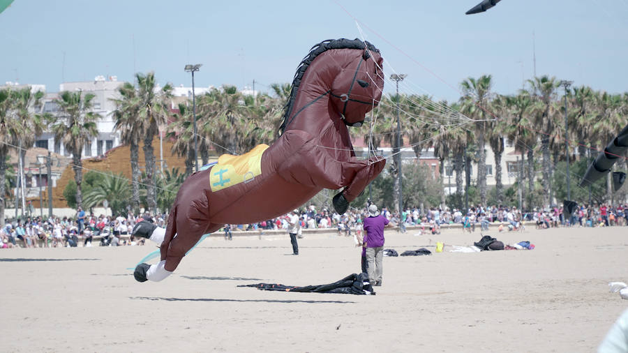 Todo tipo de animales, formas, figuras y banderas ha sobre volado el cielo de Valencia en el XXI Festival de Milotxes que se ha celebrado este fin de semana en la playa del Cabanyal. Alrededor de 100 participantes provenientes de Alemania, Chile y Argentina, junto a los pilotos valencianos y del resto de España, han competido en las modalidades de exhibición de vuelo acrobático individual, vuelo acrobático en equipo, y mejor cometa estática de construcción propia.