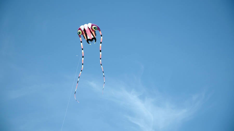 Todo tipo de animales, formas, figuras y banderas ha sobre volado el cielo de Valencia en el XXI Festival de Milotxes que se ha celebrado este fin de semana en la playa del Cabanyal. Alrededor de 100 participantes provenientes de Alemania, Chile y Argentina, junto a los pilotos valencianos y del resto de España, han competido en las modalidades de exhibición de vuelo acrobático individual, vuelo acrobático en equipo, y mejor cometa estática de construcción propia.