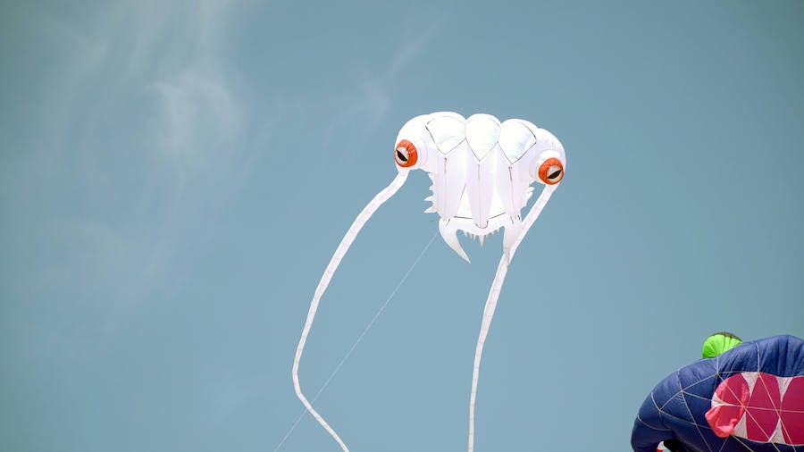 Todo tipo de animales, formas, figuras y banderas ha sobre volado el cielo de Valencia en el XXI Festival de Milotxes que se ha celebrado este fin de semana en la playa del Cabanyal. Alrededor de 100 participantes provenientes de Alemania, Chile y Argentina, junto a los pilotos valencianos y del resto de España, han competido en las modalidades de exhibición de vuelo acrobático individual, vuelo acrobático en equipo, y mejor cometa estática de construcción propia.