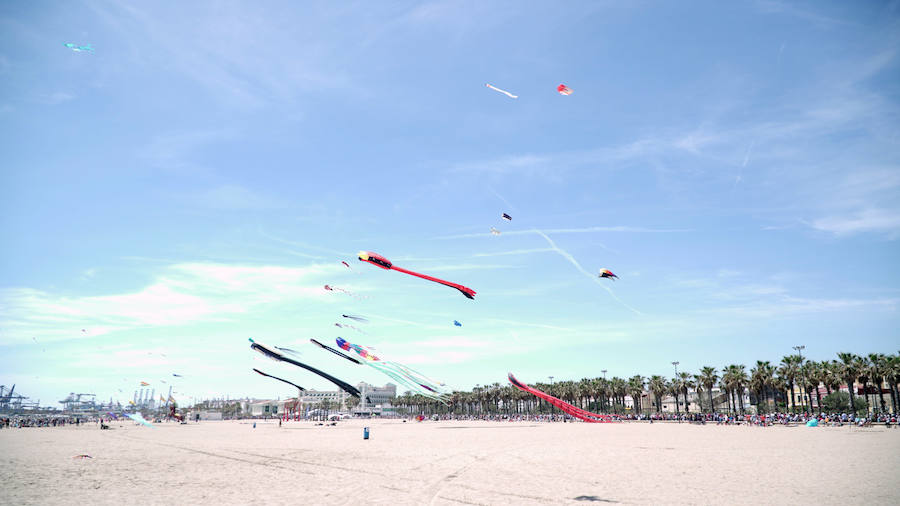 Todo tipo de animales, formas, figuras y banderas ha sobre volado el cielo de Valencia en el XXI Festival de Milotxes que se ha celebrado este fin de semana en la playa del Cabanyal. Alrededor de 100 participantes provenientes de Alemania, Chile y Argentina, junto a los pilotos valencianos y del resto de España, han competido en las modalidades de exhibición de vuelo acrobático individual, vuelo acrobático en equipo, y mejor cometa estática de construcción propia.