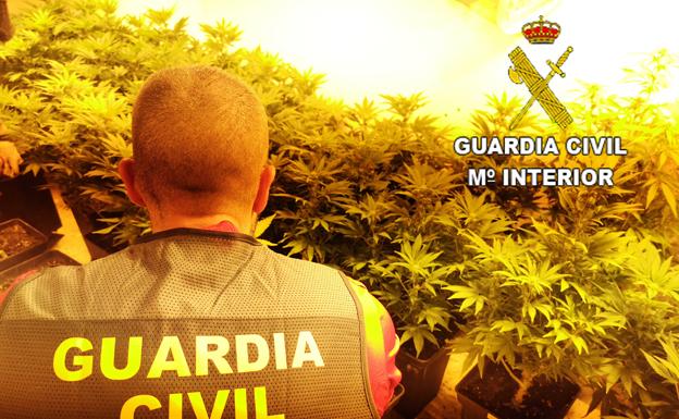 Alquilaban chalés de lujo en Valencia para cultivar marihuana