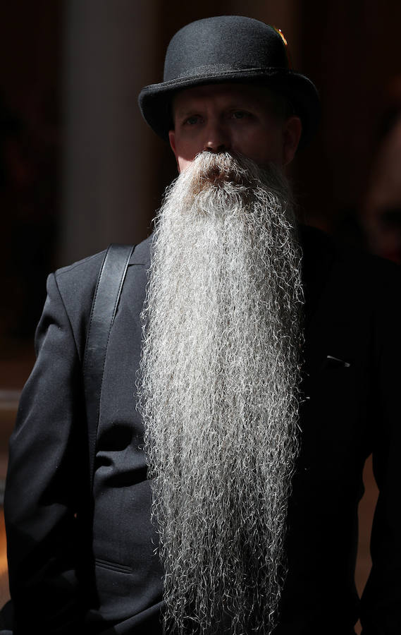 Bélgica acoge, un año más, su famoso torneo mundial de barbas y bigotes. La competencia internacional de tres días se lleva a cabo en la ciudad belga de Amberes. Este torneo, organizado por la Asociación Mundial de Barbas y Bigotes (WBMA, por sus siglas en inglés), reúne a hombres con los más insólitos bigotes y barbas de todo el mundo.