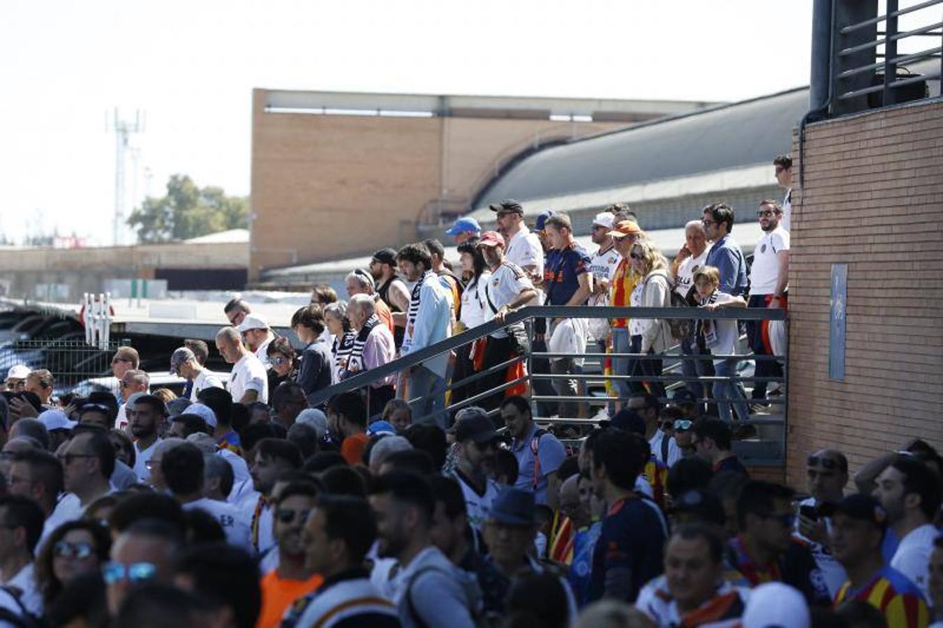 Cientos de aficionados del Valencia CF ya se encuentran en Sevilla preparándose para la final de Copa ante el Barcelona.