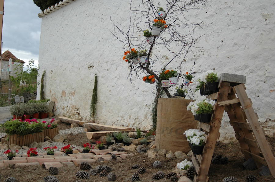 Los aromas y colores de las flores se han adueñado de Aras de los Olmos (Valencia). Durante la primavera, esta localidad situada Los Serranos cubre sus calles, fachadas con cientos de plantas y arte efímero. La exposición de las propuestas presentadas en «Aras en flor» se podrá visitar hasta el 30 de junio Los diseñadores de paisajes han tenido que defender la sostenibilidad, belleza y creatividad de la propuesta. Además de combinar flores y plantas con materiales del entorno utilizados históricamente por los vecinos y vecinas. Esta pequeña localidad del interior de la Comunitat Valenciana aguarda entre montes como un remanso de paz que fue poblado por íberos, romanos y árabes, Incluso, formó parte de la Orden de Montesa en 1318. Y todas estas culturas se han quedado guardadas entre sus callejuelas. 