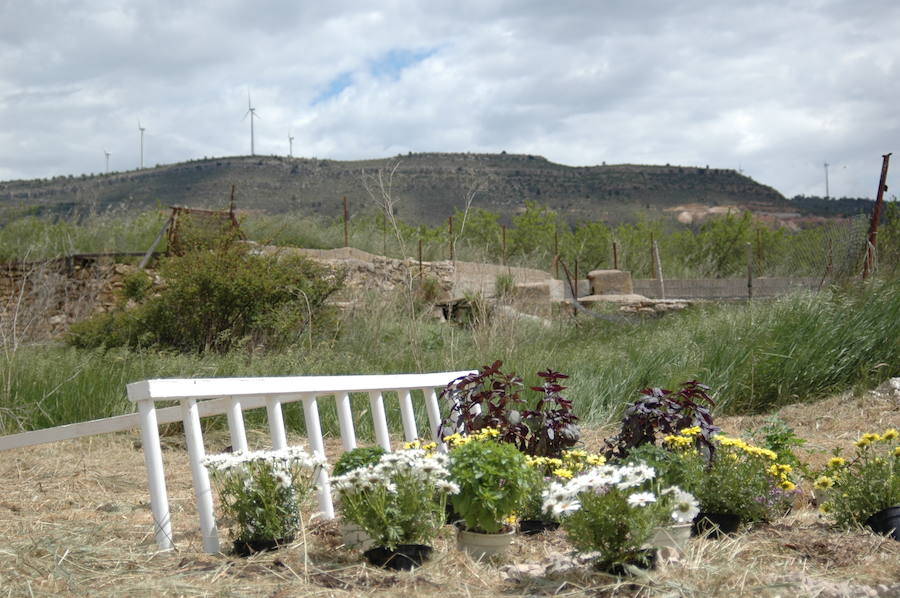 Los aromas y colores de las flores se han adueñado de Aras de los Olmos (Valencia). Durante la primavera, esta localidad situada Los Serranos cubre sus calles, fachadas con cientos de plantas y arte efímero. La exposición de las propuestas presentadas en «Aras en flor» se podrá visitar hasta el 30 de junio Los diseñadores de paisajes han tenido que defender la sostenibilidad, belleza y creatividad de la propuesta. Además de combinar flores y plantas con materiales del entorno utilizados históricamente por los vecinos y vecinas. Esta pequeña localidad del interior de la Comunitat Valenciana aguarda entre montes como un remanso de paz que fue poblado por íberos, romanos y árabes, Incluso, formó parte de la Orden de Montesa en 1318. Y todas estas culturas se han quedado guardadas entre sus callejuelas. 