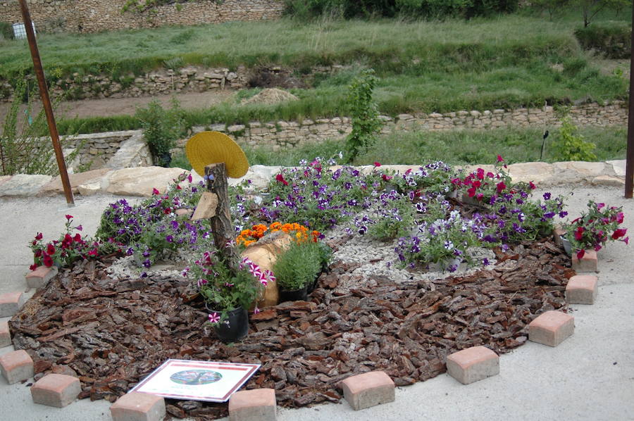 Los aromas y colores de las flores se han adueñado de Aras de los Olmos (Valencia). Durante la primavera, esta localidad situada Los Serranos cubre sus calles, fachadas con cientos de plantas y arte efímero. La exposición de las propuestas presentadas en «Aras en flor» se podrá visitar hasta el 30 de junio Los diseñadores de paisajes han tenido que defender la sostenibilidad, belleza y creatividad de la propuesta. Además de combinar flores y plantas con materiales del entorno utilizados históricamente por los vecinos y vecinas. Esta pequeña localidad del interior de la Comunitat Valenciana aguarda entre montes como un remanso de paz que fue poblado por íberos, romanos y árabes, Incluso, formó parte de la Orden de Montesa en 1318. Y todas estas culturas se han quedado guardadas entre sus callejuelas. 