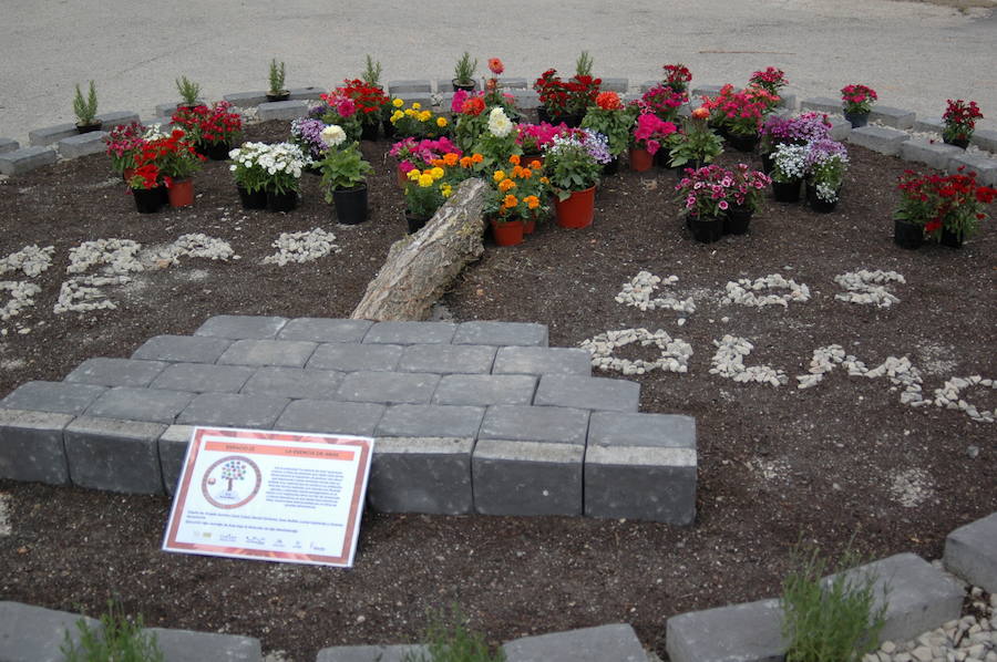 Los aromas y colores de las flores se han adueñado de Aras de los Olmos (Valencia). Durante la primavera, esta localidad situada Los Serranos cubre sus calles, fachadas con cientos de plantas y arte efímero. La exposición de las propuestas presentadas en «Aras en flor» se podrá visitar hasta el 30 de junio Los diseñadores de paisajes han tenido que defender la sostenibilidad, belleza y creatividad de la propuesta. Además de combinar flores y plantas con materiales del entorno utilizados históricamente por los vecinos y vecinas. Esta pequeña localidad del interior de la Comunitat Valenciana aguarda entre montes como un remanso de paz que fue poblado por íberos, romanos y árabes, Incluso, formó parte de la Orden de Montesa en 1318. Y todas estas culturas se han quedado guardadas entre sus callejuelas. 