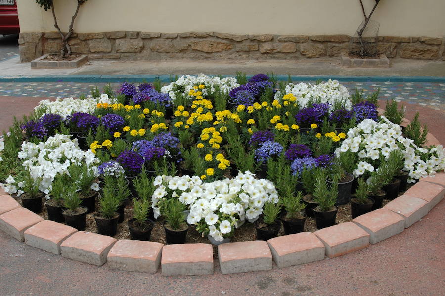 Los aromas y colores de las flores se han adueñado de Aras de los Olmos (Valencia). Durante la primavera, esta localidad situada Los Serranos cubre sus calles, fachadas con cientos de plantas y arte efímero. La exposición de las propuestas presentadas en «Aras en flor» se podrá visitar hasta el 30 de junio Los diseñadores de paisajes han tenido que defender la sostenibilidad, belleza y creatividad de la propuesta. Además de combinar flores y plantas con materiales del entorno utilizados históricamente por los vecinos y vecinas. Esta pequeña localidad del interior de la Comunitat Valenciana aguarda entre montes como un remanso de paz que fue poblado por íberos, romanos y árabes, Incluso, formó parte de la Orden de Montesa en 1318. Y todas estas culturas se han quedado guardadas entre sus callejuelas. 