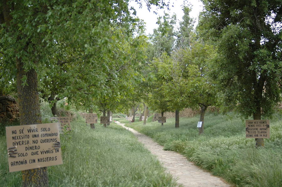 Los aromas y colores de las flores se han adueñado de Aras de los Olmos (Valencia). Durante la primavera, esta localidad situada Los Serranos cubre sus calles, fachadas con cientos de plantas y arte efímero. La exposición de las propuestas presentadas en «Aras en flor» se podrá visitar hasta el 30 de junio Los diseñadores de paisajes han tenido que defender la sostenibilidad, belleza y creatividad de la propuesta. Además de combinar flores y plantas con materiales del entorno utilizados históricamente por los vecinos y vecinas. Esta pequeña localidad del interior de la Comunitat Valenciana aguarda entre montes como un remanso de paz que fue poblado por íberos, romanos y árabes, Incluso, formó parte de la Orden de Montesa en 1318. Y todas estas culturas se han quedado guardadas entre sus callejuelas. 