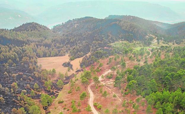 Vista aérea de un mosaico agroforestal.