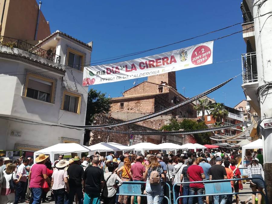 El municipio situado en pleno corazón de la Sierra Calderona ha festejado hoy la jornada que dedica a su fruto más típico. Para tal ocasión, que llega a la edición número 49, se han repartido miles de bandejas de forma gratuita para que los visitantes puedan degustar las cerezas de la zona. El Día de la Cereza se enmarca dentro de la Feria de la Calderona, una celebración que tiene lugar durante todo el fin de semana con actos y eventos de todo tipo en las calles de este municipio situado junto a l'Oronet.