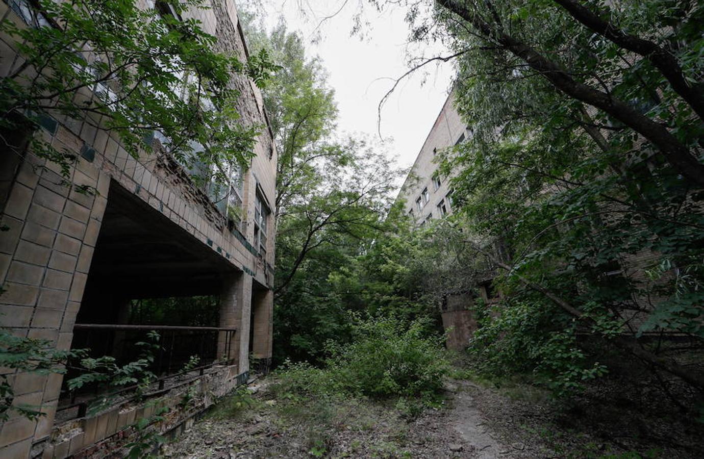 El momento más sobrecogedor de la excursión es cuando se contempla el panorama que se divisa desde el 'mirador', un lugar junto a un puente sobre el río Prípiats desde donde se ve el sarcófago que recubre el reactor número 4, el causante de la catástrofe, para mantener aislado el magma en el que se convirtió el combustible atómico.