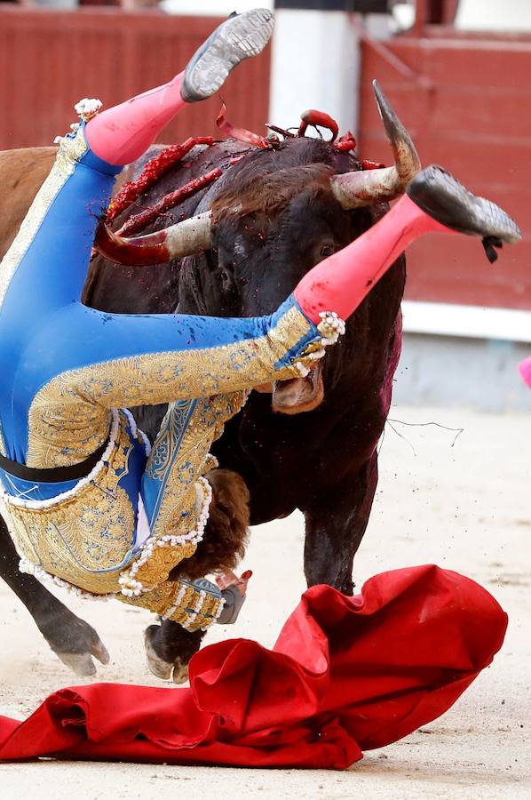 El diestro Román Collado, cogido por el primero de su lote durante su faena en la corrida celebrada este domingo 9 de junio en la plaza de toros de Las Ventas, compartiendo cartel con Pepe Moral y Curro Díaz, lidiando reses de Baltasar Ibán.