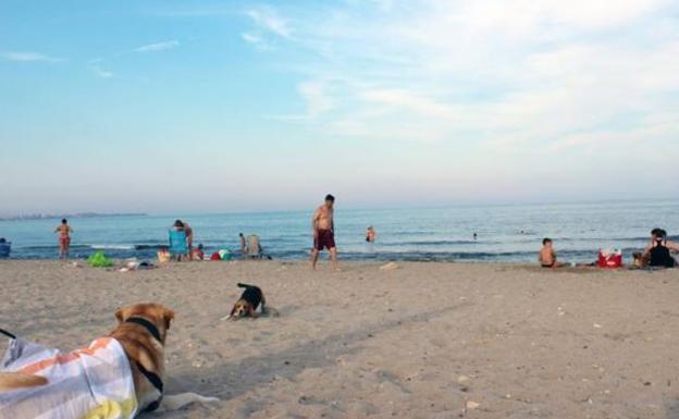 Playa de Agua Amarga