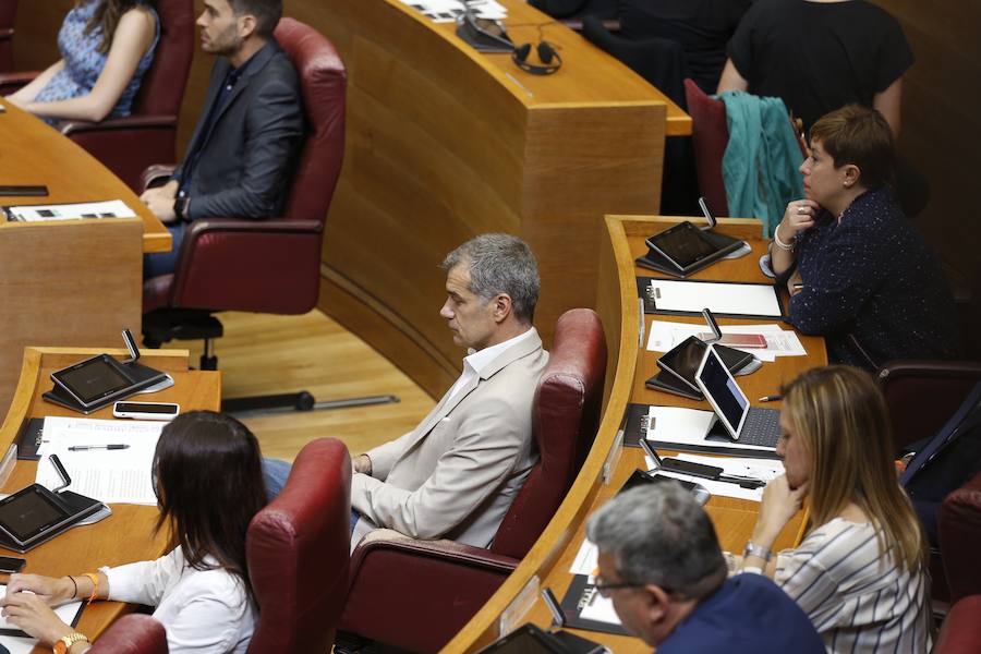 Fotos: Primera sesión de investidura en Les Corts de la X Legislatura