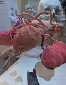 Imagen secundaria 2 - Ya existen tacones impresos en 3D pata personalizar las botas u órganos impresos para practicar cirugías.