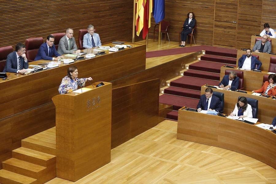 Fotos: Pleno de investidura de Ximo Puig en Les Corts