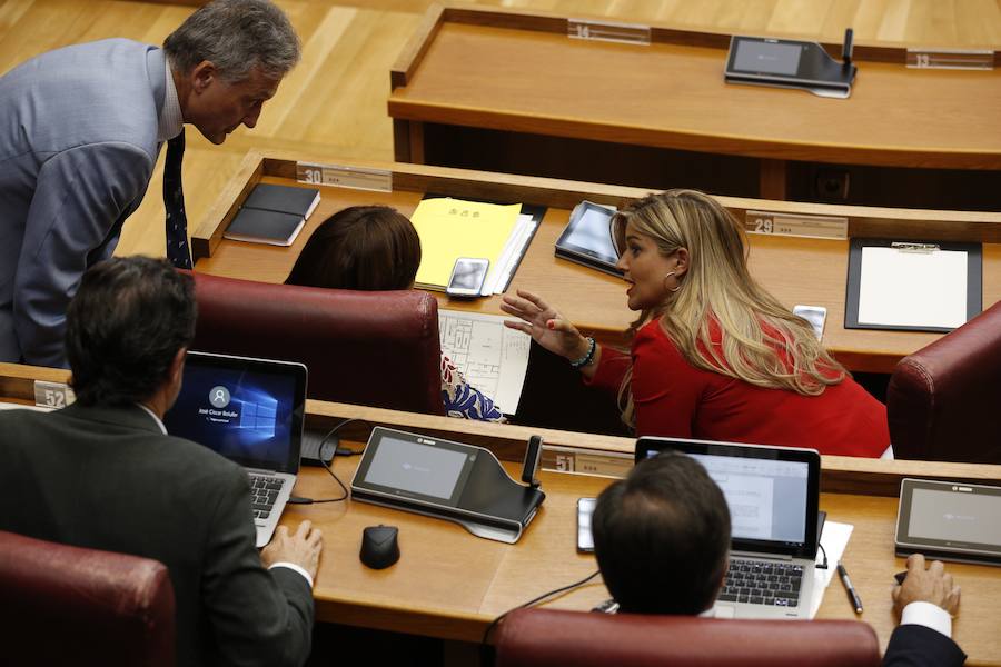 Fotos: Pleno de investidura de Ximo Puig en Les Corts