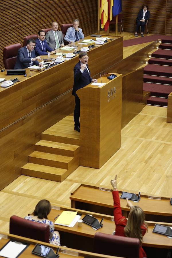 Fotos: Pleno de investidura de Ximo Puig en Les Corts