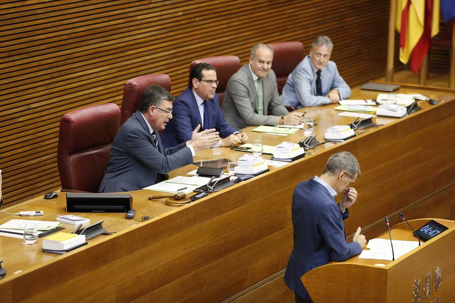 Fotos: Pleno de investidura de Ximo Puig en Les Corts