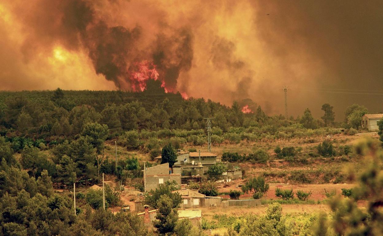 Las llamas se ceban con un paraje de Cortes de Pallás durante el incendio de 2012. 