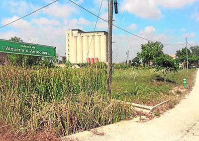 Imagen secundaria 1 - 1. Naves industriales sin uso y en mal estado de conservación. 2. Algunos de los campos completamente abandonados en La Punta. 3. Caminos repletos de maleza y con escaso alumbrado.