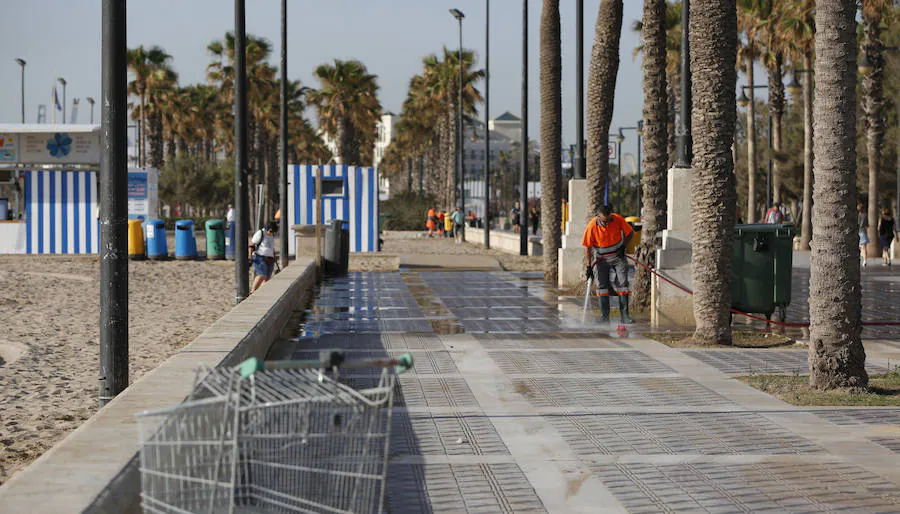 Esta noche las playas de la Comunitat Valenciana se llenan de hogueras para festejar San Juan 2019. La Malvarrosa, la Patacona y Pinedo viven desde primera hora de esta tarde una intensa afluencia de gente. A las 18:00 horas ha empezado el reparto gratuito de leña en Valencia para comenzar con la tradición de montar la hoguera. La fiesta continuará hasta bien entrada la madrugada, después de uno de los momentos más mágicos de la fiesta: saltar las olas.