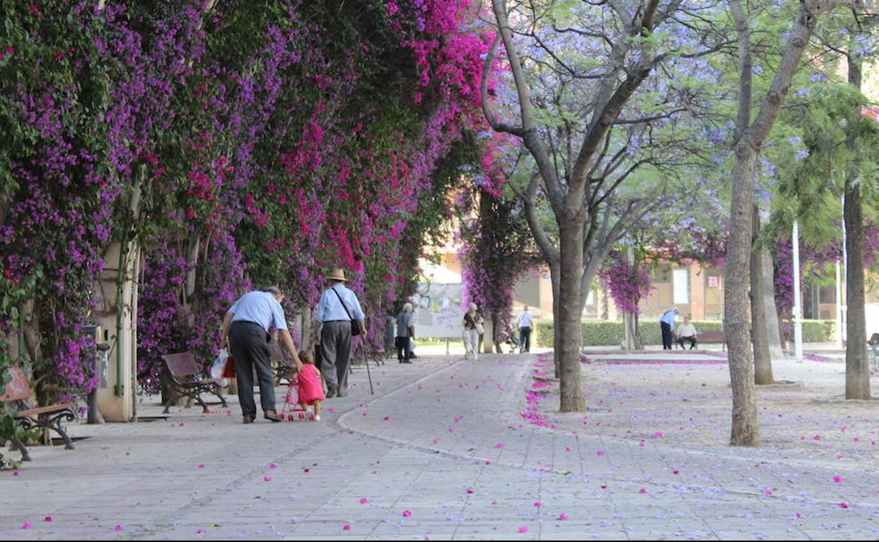 Parque de Ayora de Valencia. 