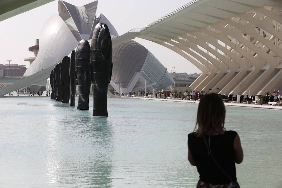 Minna, Isabella, Laura Asia, Maria, Laurelle, Carla y Silvia. Son los nombres de las grandes esculturas del artista Jaume Plensa que desde este jueves 26 de junio lucen en la Ciudad de las Ciencias de Valencia. La exposición, que se podrá ver hasta el 3 de noviembre, es todo un «homenaje a la feminidad», ha dicho el artista barcelonés. Plensa ha descrito la muestra, creada para Valencia, como una celebración de la mujer «en su diversidad». El creador ha vuelto a la capital del Turia tras más de una década para quedarse. La propia Hortensia Herrero ha afirmado que comprará «dos de estas cabezas escultóricas: una a título personal y otra al de la Fundación».