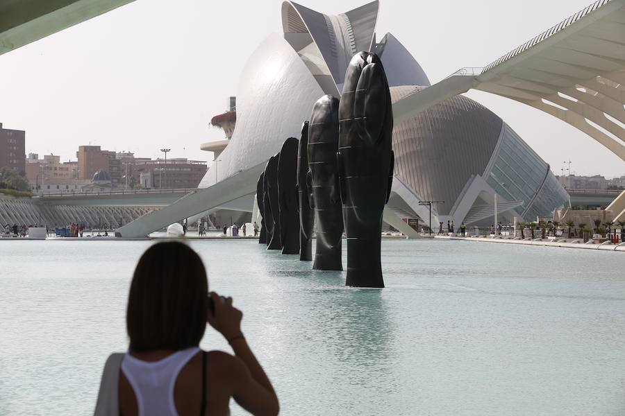 Minna, Isabella, Laura Asia, Maria, Laurelle, Carla y Silvia. Son los nombres de las grandes esculturas del artista Jaume Plensa que desde este jueves 26 de junio lucen en la Ciudad de las Ciencias de Valencia. La exposición, que se podrá ver hasta el 3 de noviembre, es todo un «homenaje a la feminidad», ha dicho el artista barcelonés. Plensa ha descrito la muestra, creada para Valencia, como una celebración de la mujer «en su diversidad». El creador ha vuelto a la capital del Turia tras más de una década para quedarse. La propia Hortensia Herrero ha afirmado que comprará «dos de estas cabezas escultóricas: una a título personal y otra al de la Fundación».