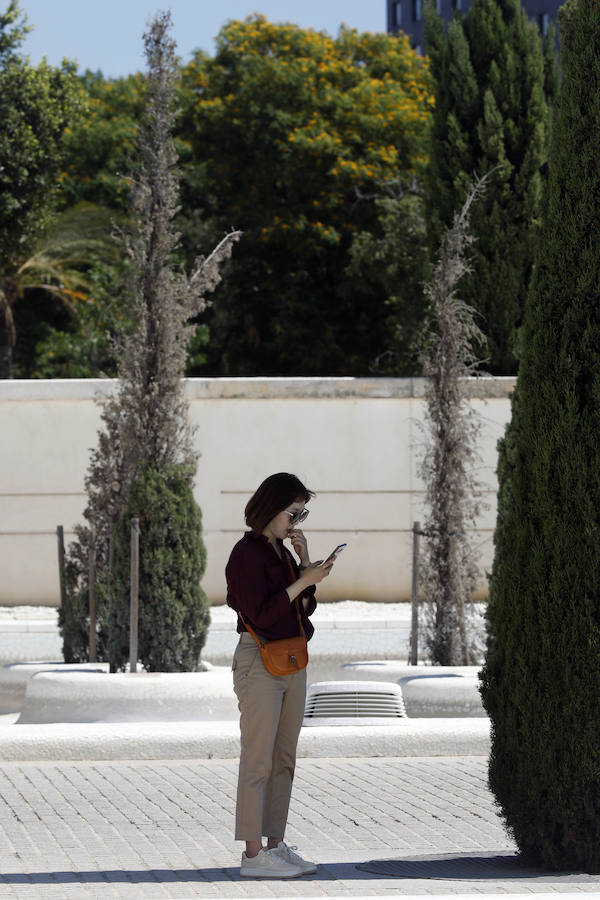 Temperaturas cercanas a los 40 grados en algunas poblaciones y las vacaciones aún lejos para muchos, empujan a los valencianos a buscar fórmulas para combatir el calor. Playas, piscinas y hasta fuentes son buenas para refrescarse. Hasta los animales del Bioparc tienen su ración de helado.