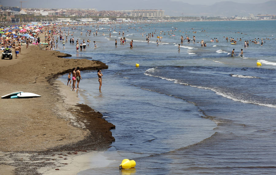 El Ayuntamiento de Alboraya ha prohibido el baño tras detectar niveles elevados de parámetros microbiológicos