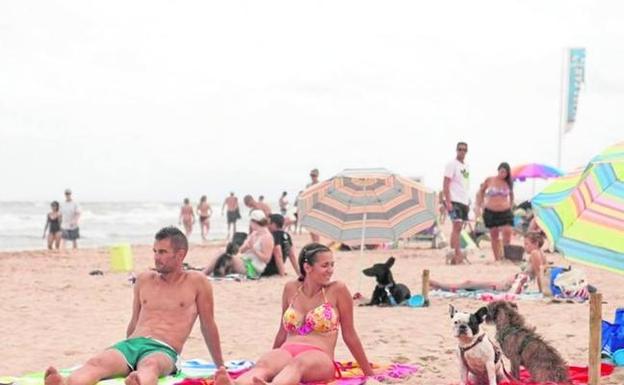 Gandia pierde tras siete años la playa para perros por las restricciones del Pativel