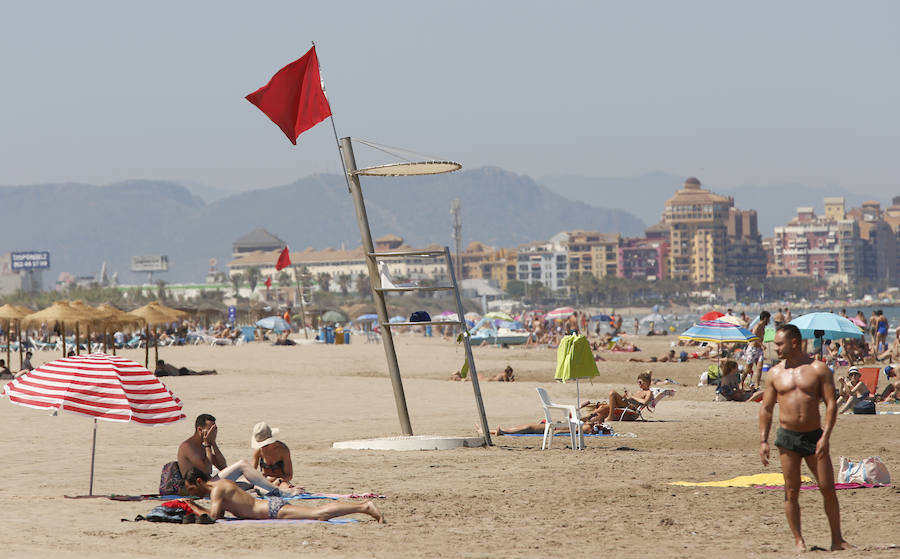 Temperaturas cercanas a los 40 grados en algunas poblaciones y las vacaciones aún lejos para muchos, empujan a los valencianos a buscar fórmulas para combatir el calor. Playas, piscinas y hasta fuentes son buenas para refrescarse. Hasta los animales del Bioparc tienen su ración de helado.